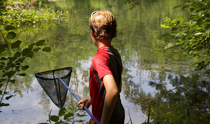 Boy fishing with net