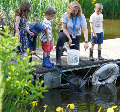Young children exploring the pond at Renbrook School.