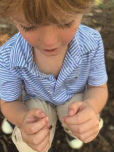 boy holding a daddy long legs