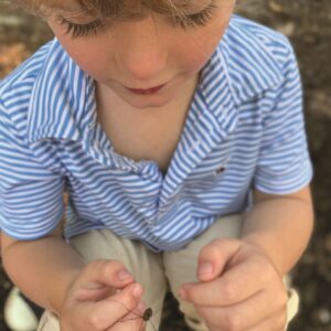 boy holding a daddy long legs