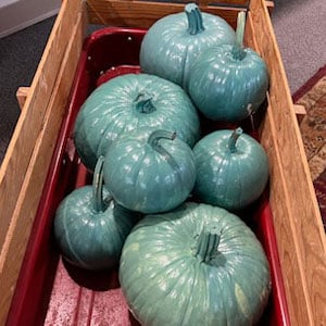 teal pumpkins in a wagon