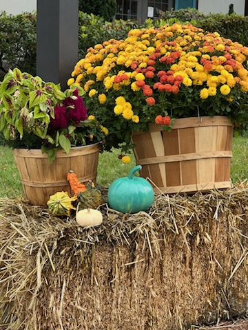 fall display with teal pumpkin