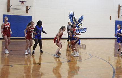 7 girls engaged in a basketball game