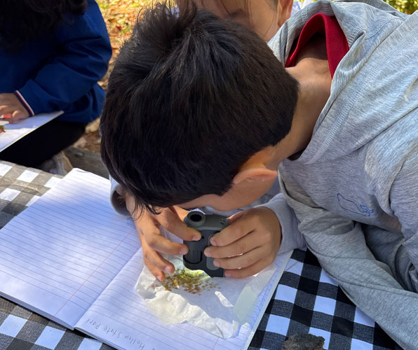 boy examining leaf products with a microscope