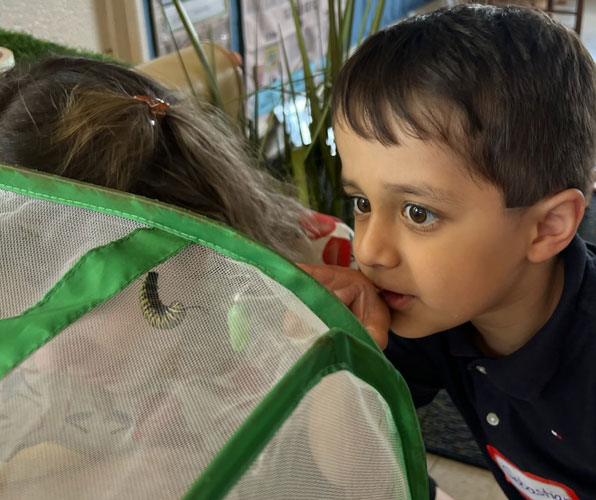 Young male student observing a caterpillar