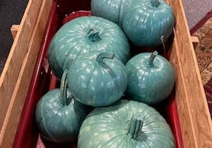 teal pumpkins in a wagon